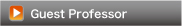 Guest Professor